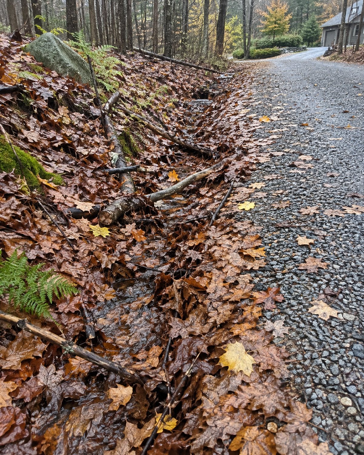 Leaf-covered drainage edge and scattered branches before an Upper Valley yard cleanup